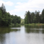 rybník Labeška