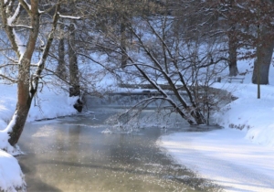 zamrzlý potok Botič